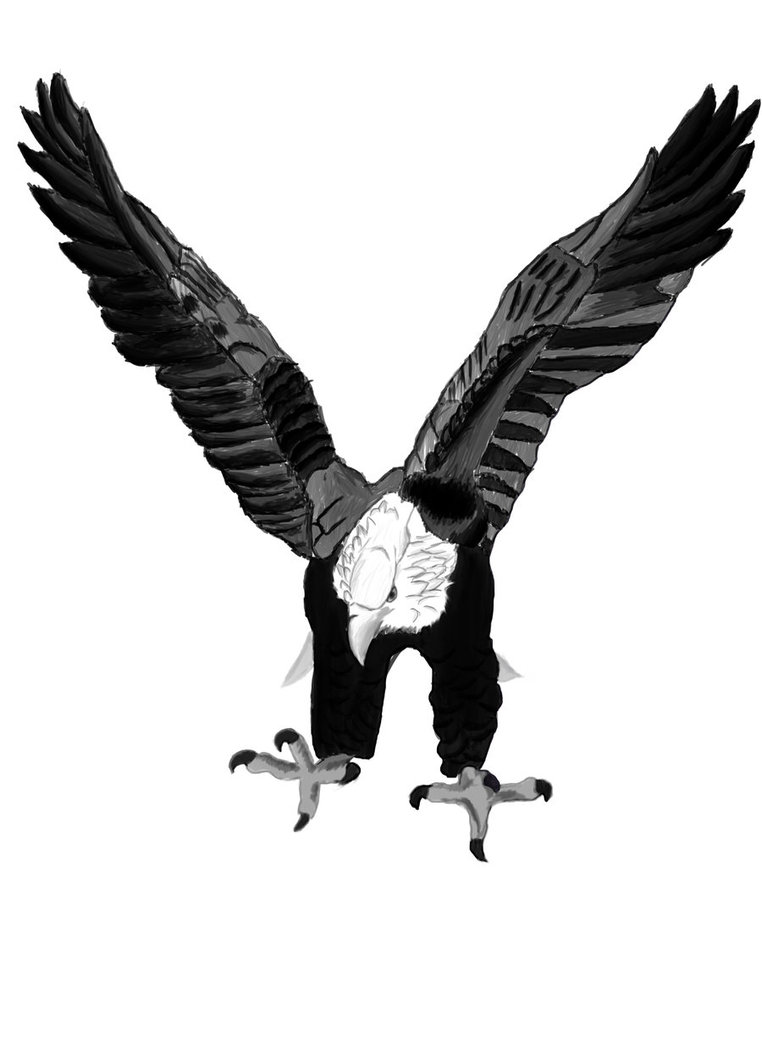 Simple Eagle Tattoo Designs Simple Eagle Tattoo Designs