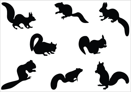 Squirrel Silhouette Clip Art