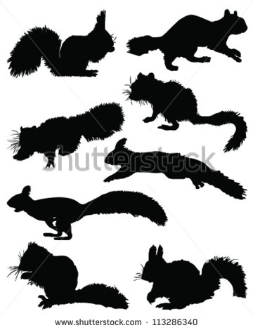 Squirrel Vector Art Silhouettes