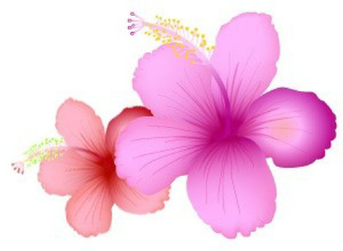 Summer Flowers Clip Art Free