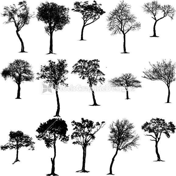 Tree Silhouette Graphic Design