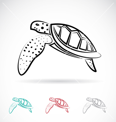Turtle Shell Vector