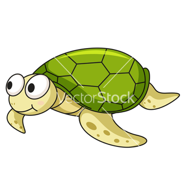 Turtle Vector Art Free