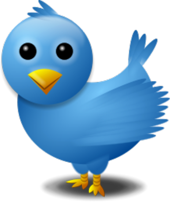 Twitter Bird Logo PSD