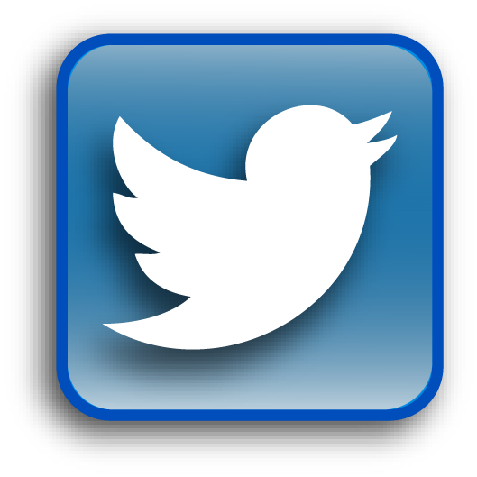 Twitter Button Logo