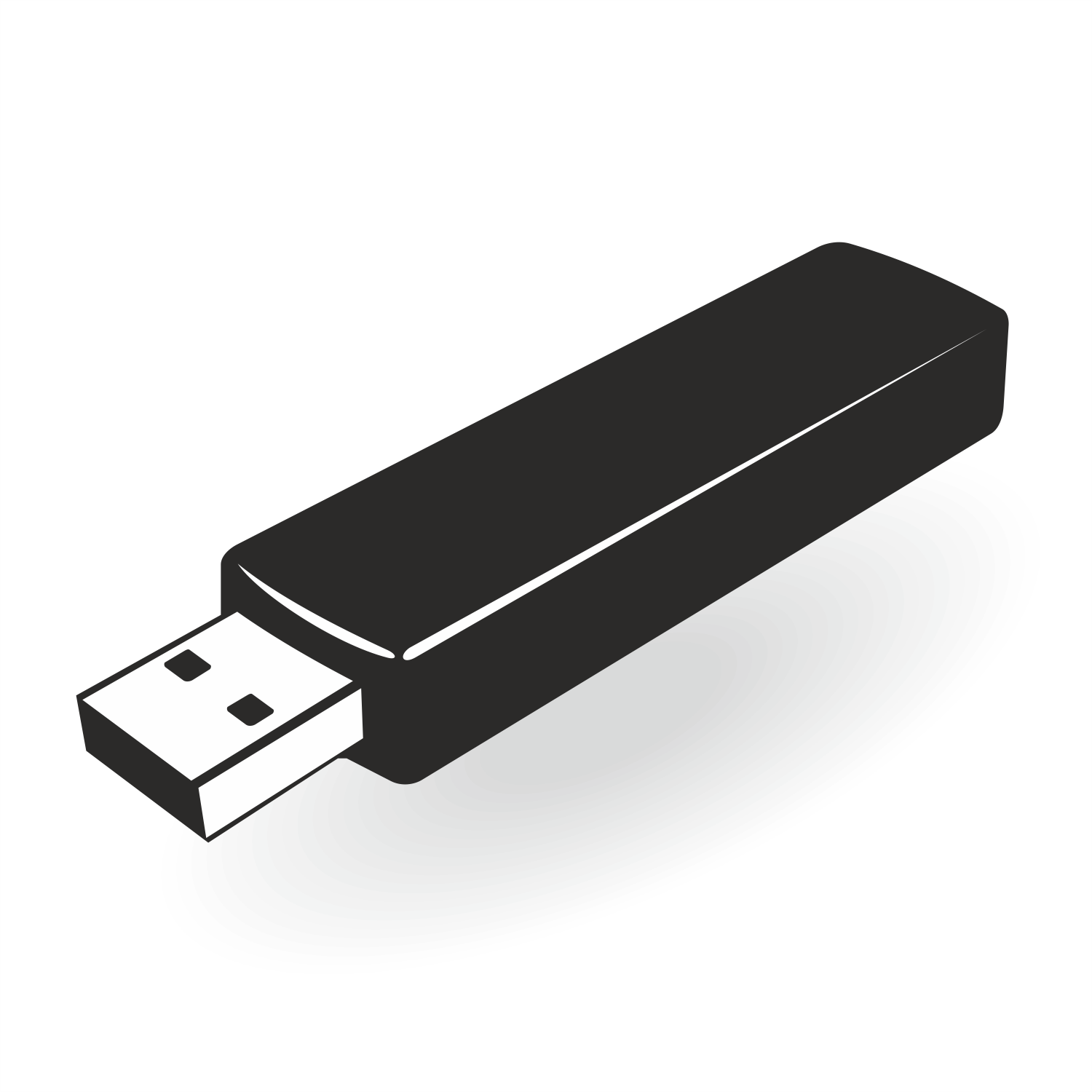 USB Drive Vector