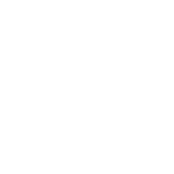 White Globe Icon