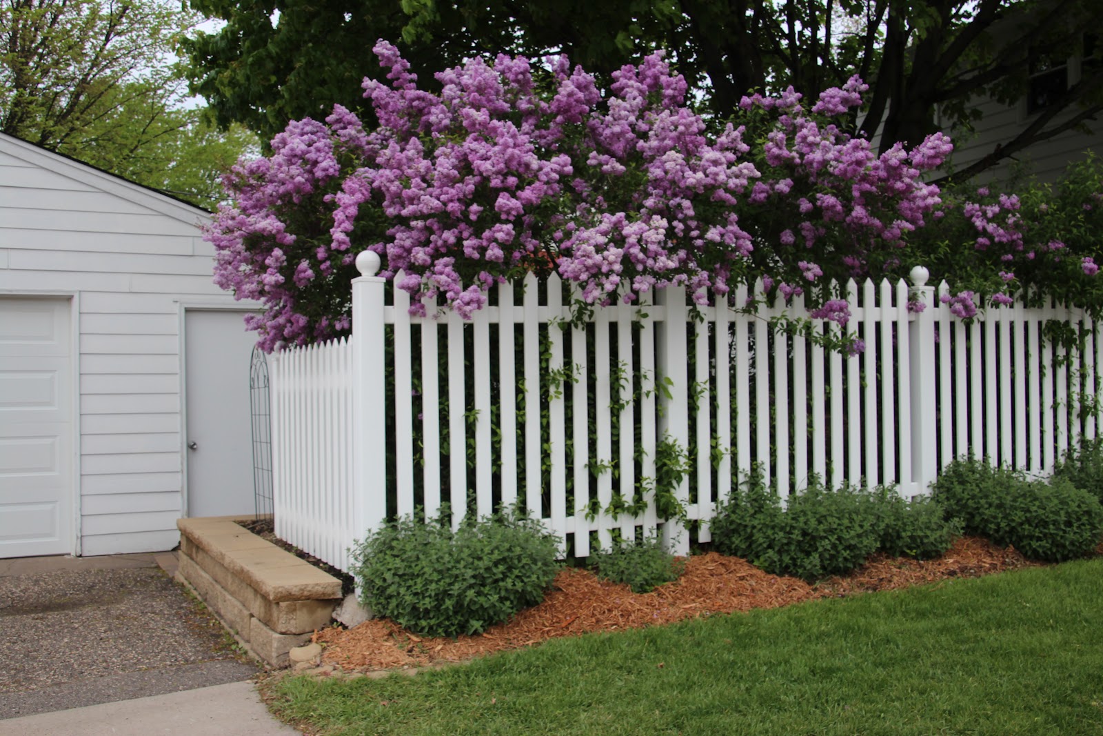White Picket Fence with Flowers