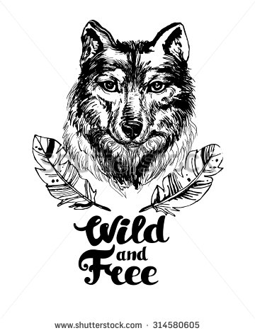 Wolf Feather Tattoo Sketch