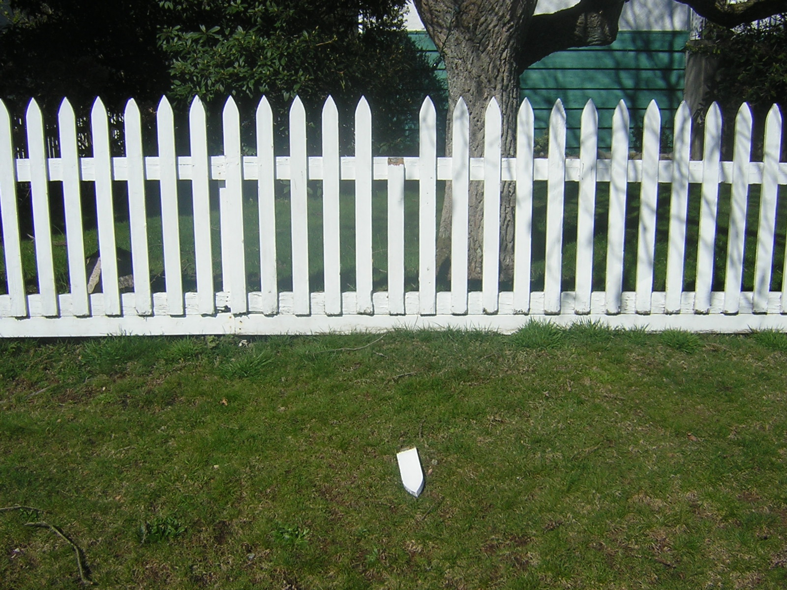 Wooden Fence