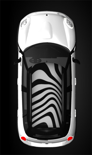 Zebra Print Graphic