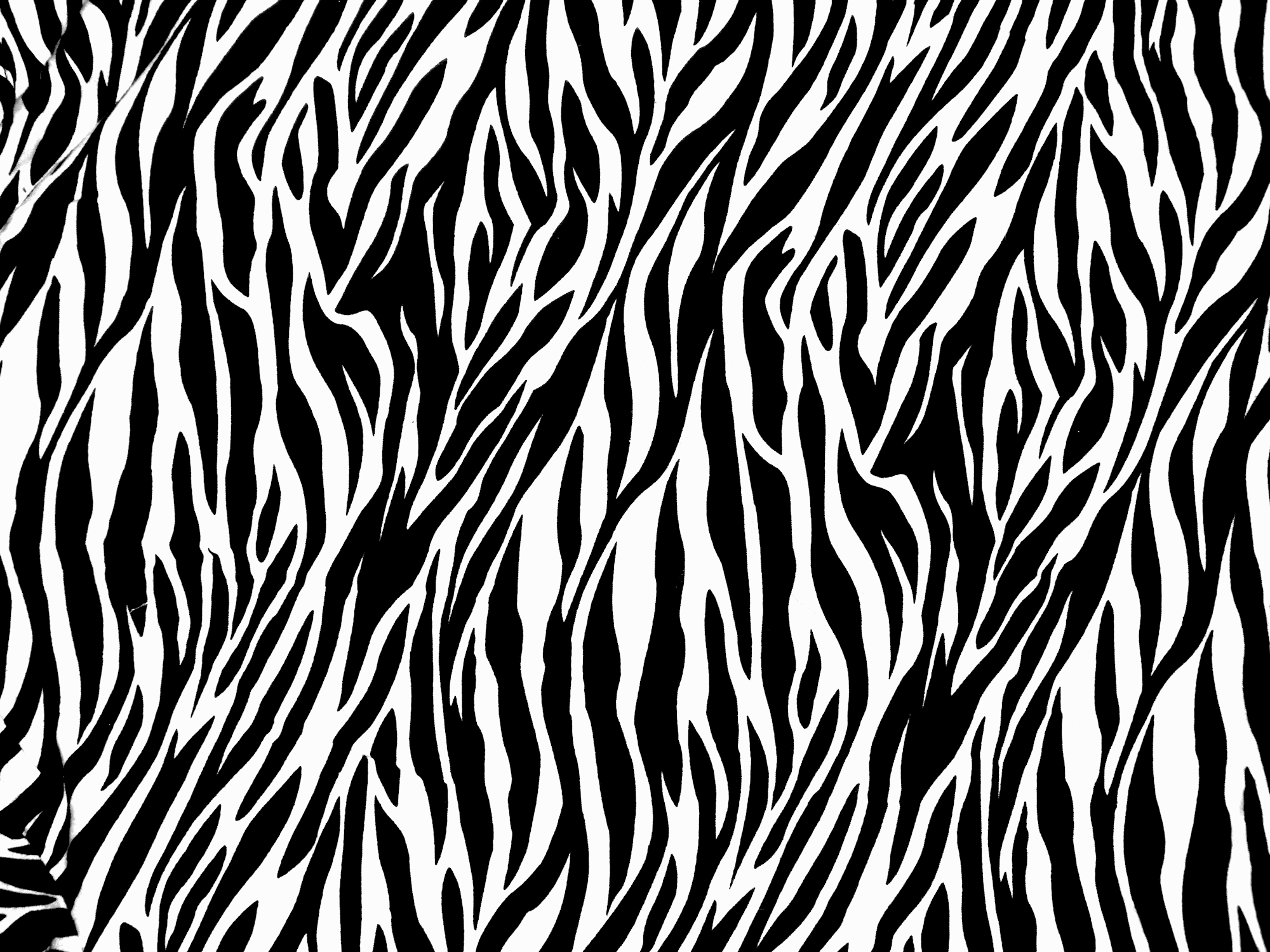 Zebra Print Pattern