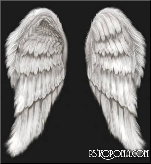 12 Angel Wings PSD Template Images