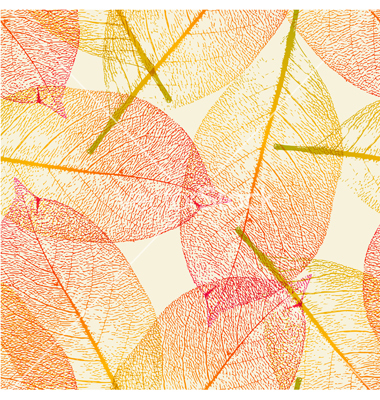 Autumn Fall Leaf Patterns