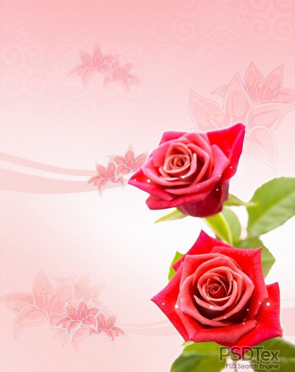 6 Beautiful Red Roses PSD Images