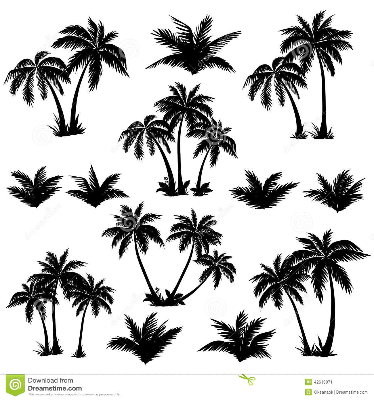 Black and White Palm Tree Leaf Silhouette