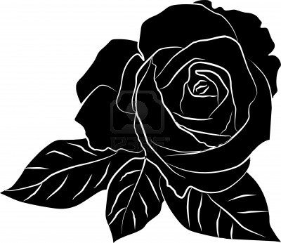 Black Rose Silhouette