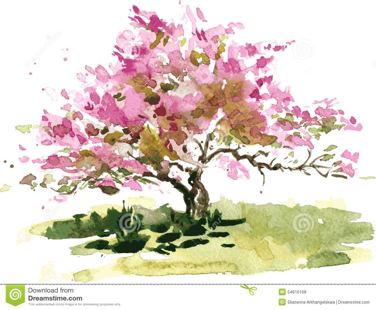Cherry Blossom Tree Sketches