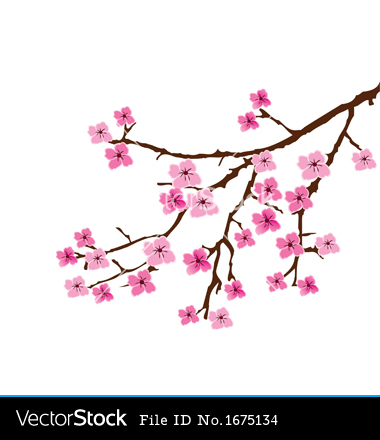 Cherry Blossom Vector Free