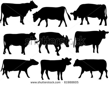 Cow Silhouette Vector