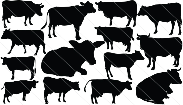 Cow Silhouette Vector