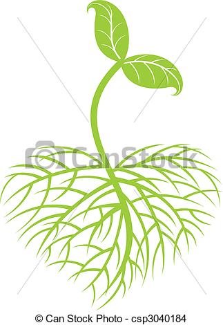 Drawings of a Growing Plant Clip Art