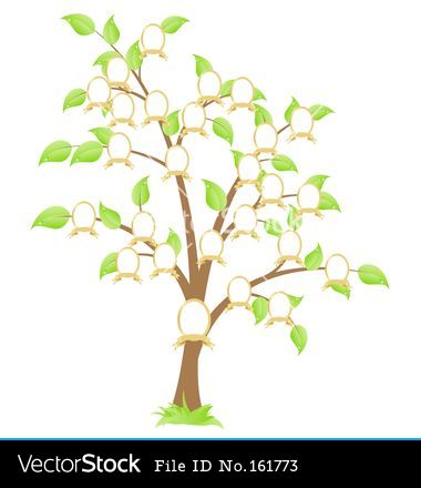 Family Tree Vector