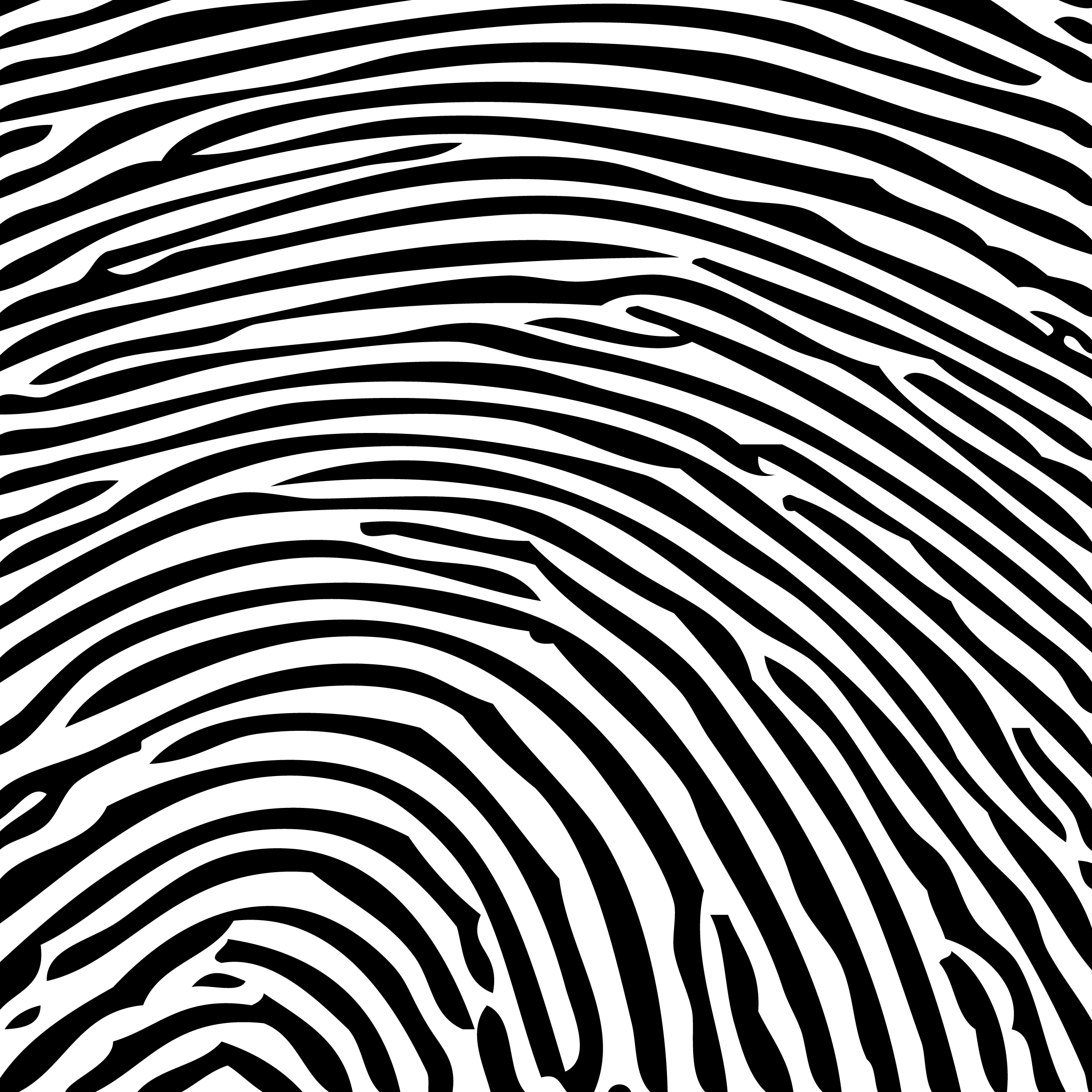 Fingerprint Patterns
