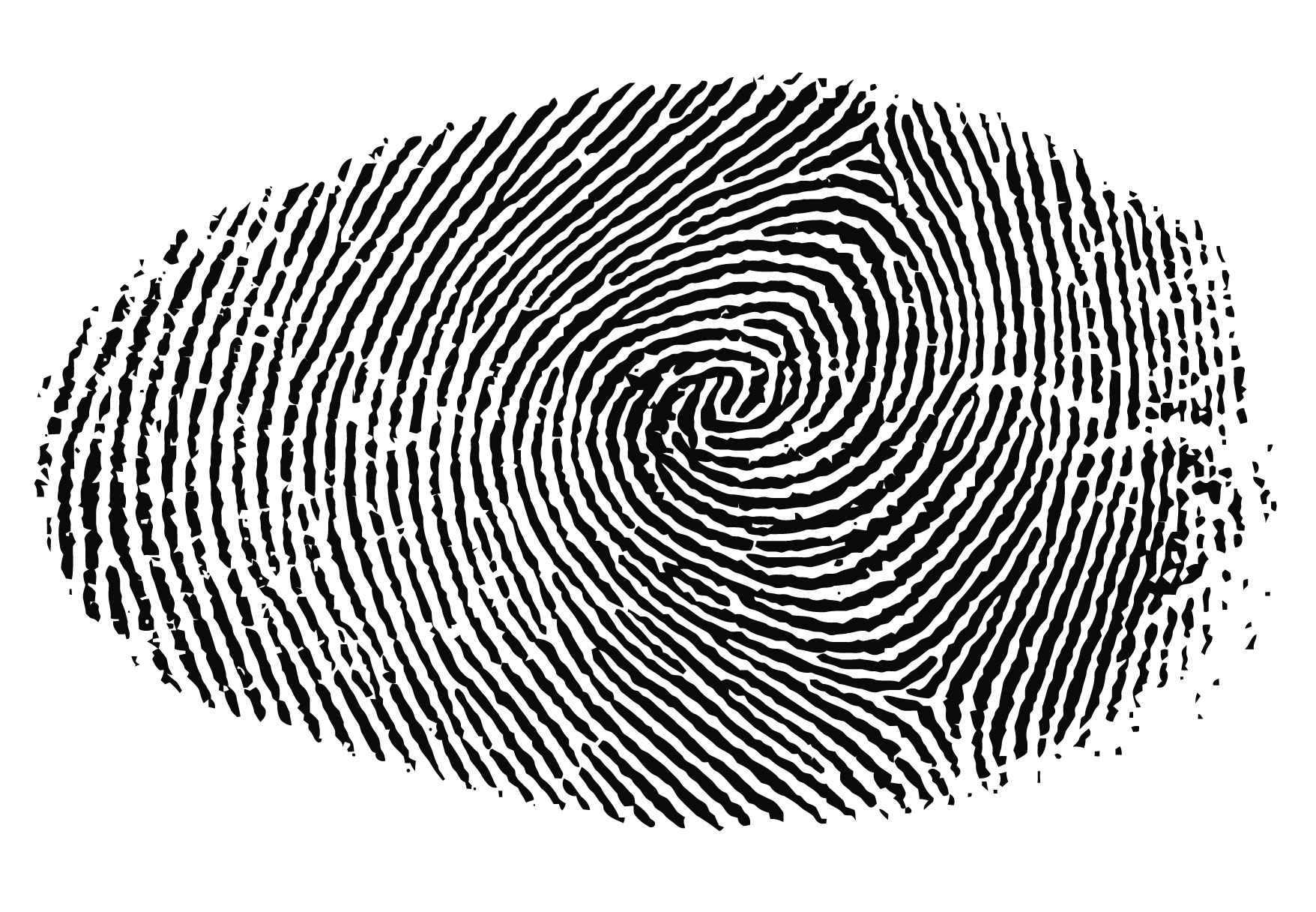 13 Fingerprint Vector Art Images