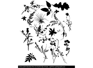 Free Plant Vector Graphics