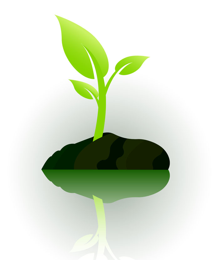 13 Growing Plant Vector Icon Free Images