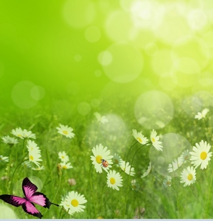 Free Website Background Spring Free Website Background Spring