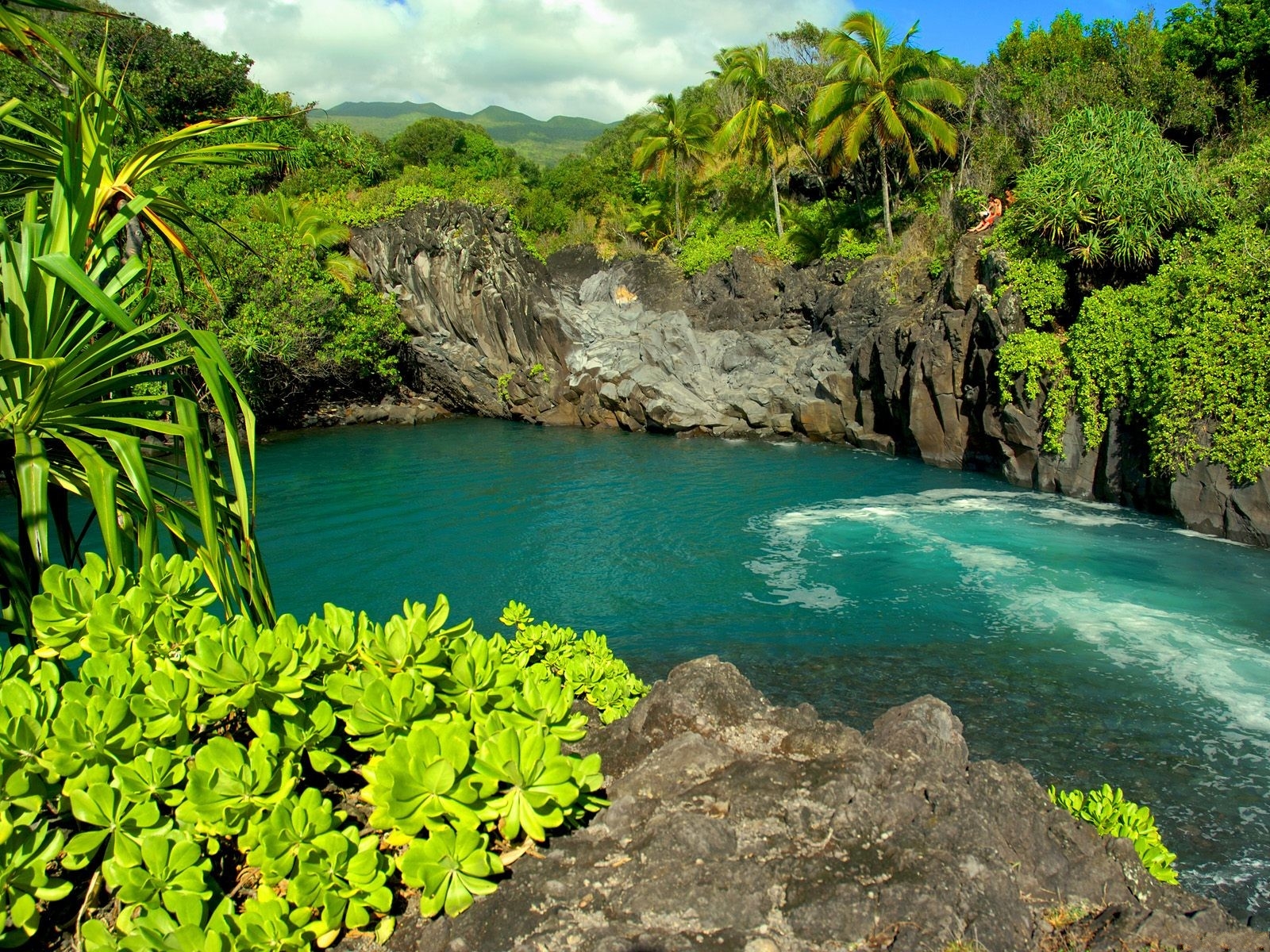 Maui Island Hawaii Hotels