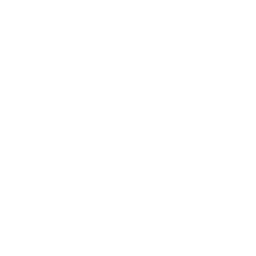 Mobile Phone Icon White