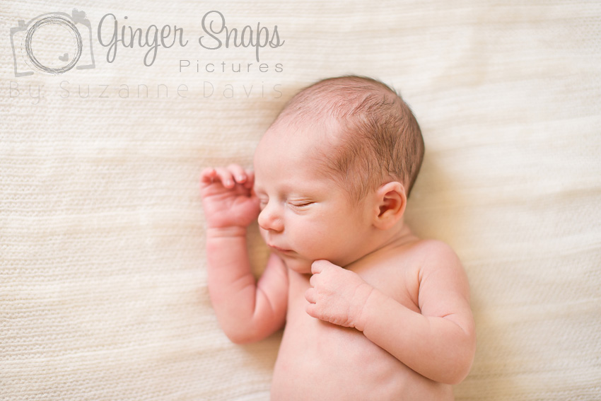 Newborn Baby Boy Photography