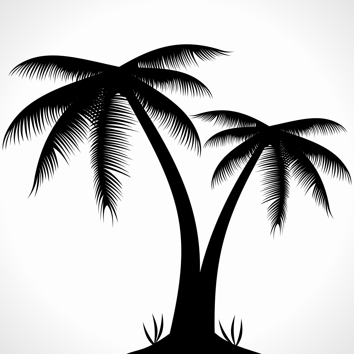 9 Palm Tree Silhouette Vector Images