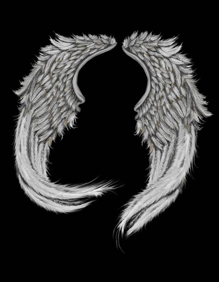 Photoshop Angel Wings Template