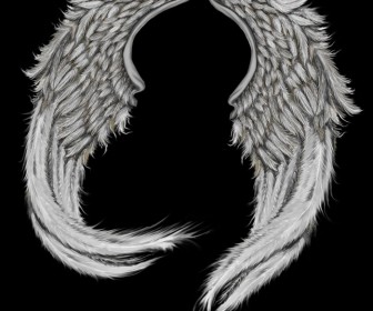 Photoshop Angel Wings Template