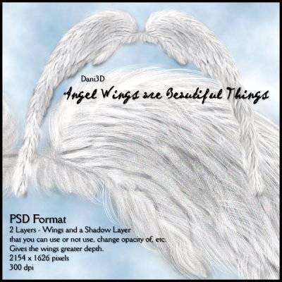 Photoshop Angel Wings Template