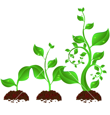 Plant Growth Cartoon