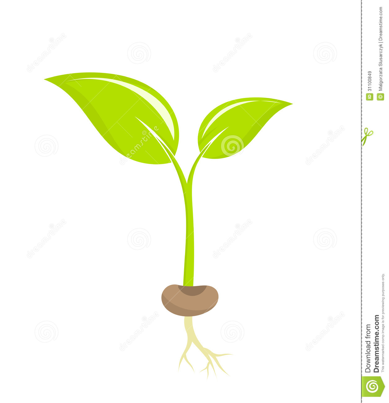 Plant Seedling Clip Art Free