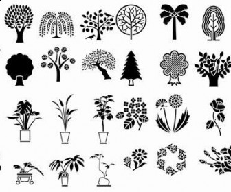 Plant Vector Art