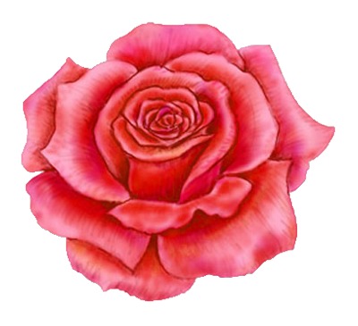Red Rose Clip Art Free