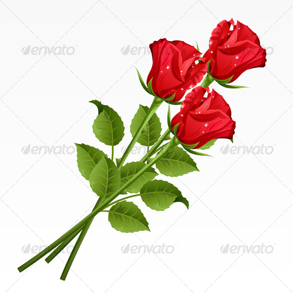 Red Rose Vector