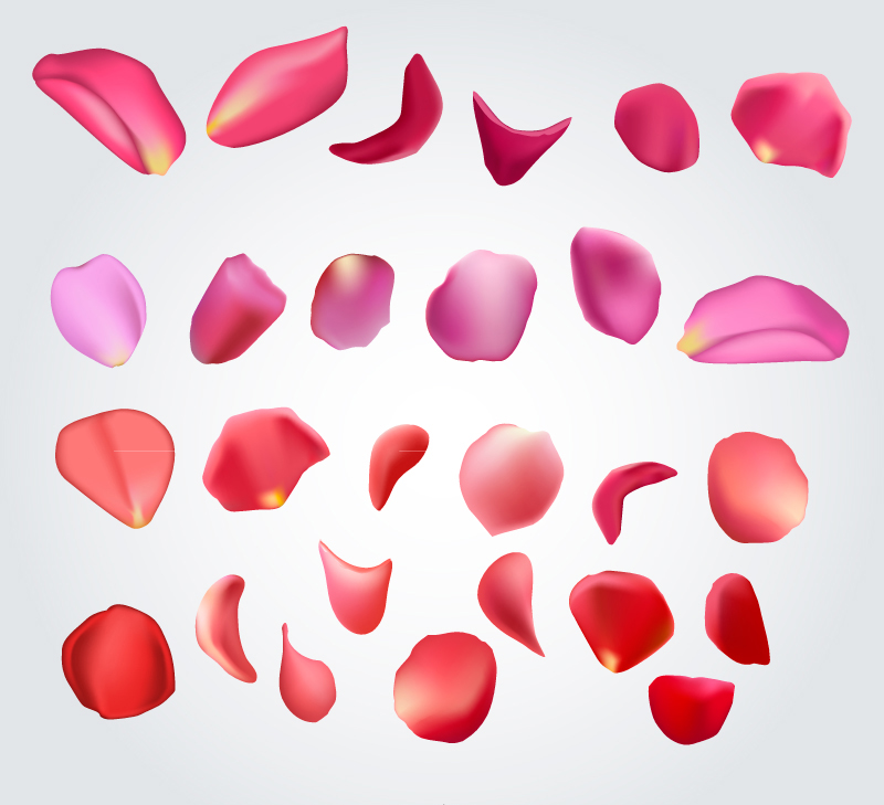 Rose Petals Vector