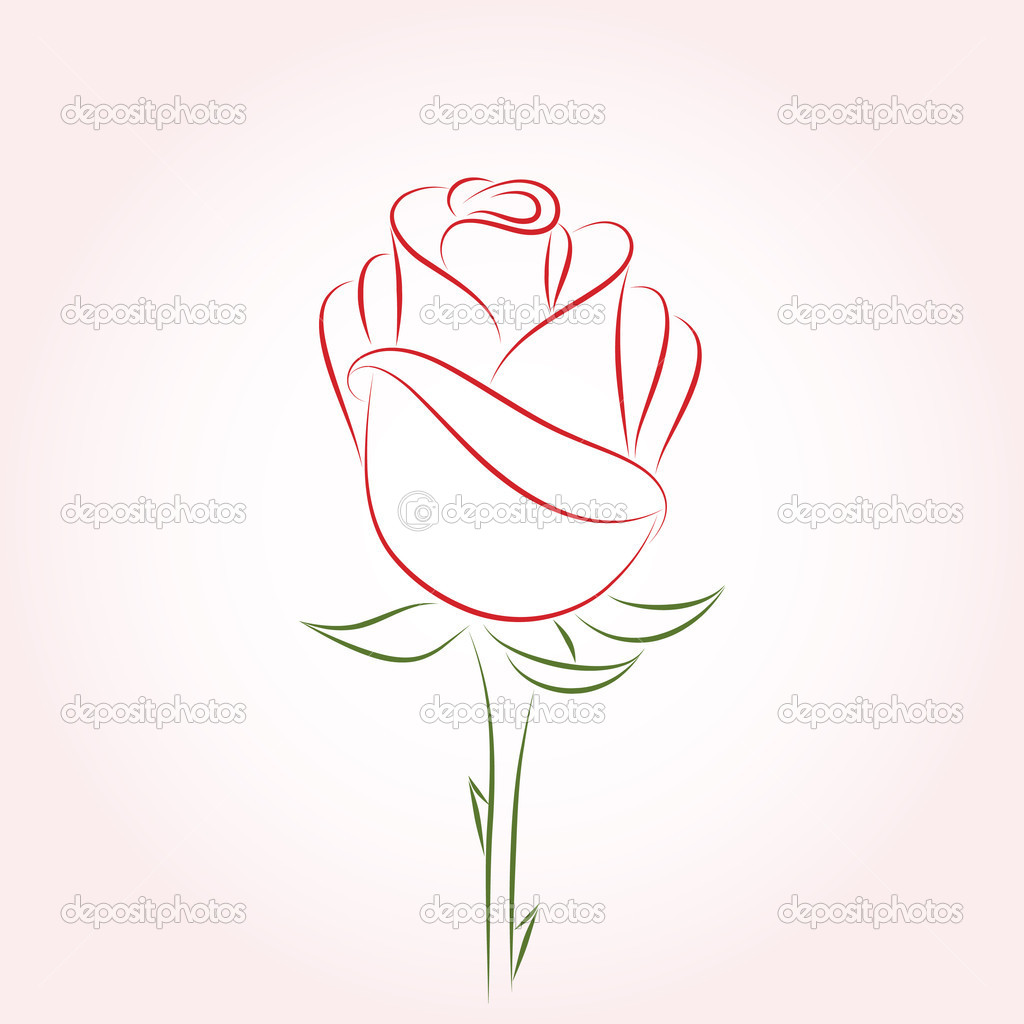 Single Rose Illustration