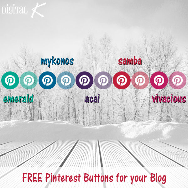 Social Media Pinterest Button