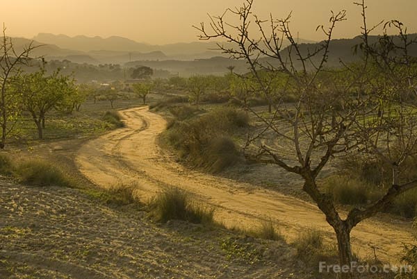 Southern Spain Landscape