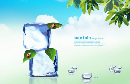 Summer Ice Summer Ice