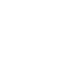 Transparent White Phone Icon